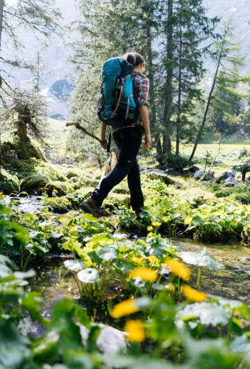 Bergwelt Österreichs