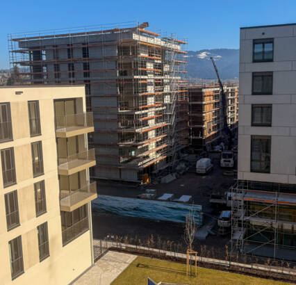 Vierlinden-Quartier 2026 Vierlinden-Quartier 2026